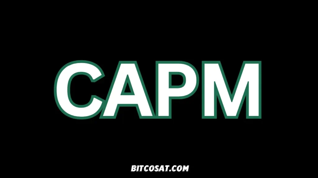 نموذج تسعير الأصول الرأسمالية (CAPM)